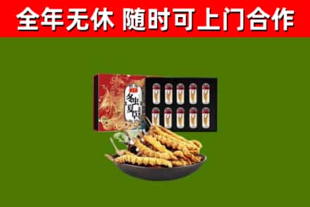 中站回收冬虫夏草价格