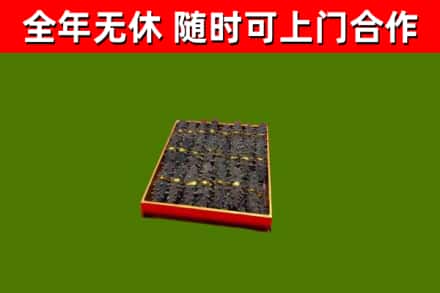 中站回收海参